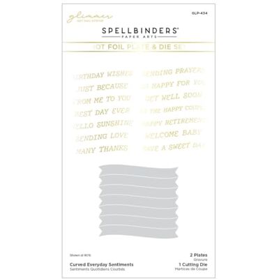 Spellbinders Curved Everyday Sentiments Juego de placas y troqueles de The Glimmering Flowers Collection Spellbinders Curved Everyday Sentiments Juego de placas y troqueles de The Glimmering Flowers Collection