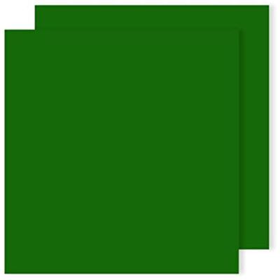 GUARRO Cartolina 240gr 25Folhas 50x65cm Canson Iris Verde Abeto/P GUARRO Cartolina 240gr 25Folhas 50x65cm Canson Iris Verde Abeto/P