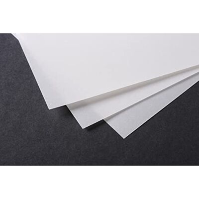 Clairefontaine Paquete Papel Calco 10 Hojas Papel Calco Altamente Transparente A2 42x59,4 cm 230g Ideal para el Dibujo Técnico Clairefontaine Paquete Papel Calco 10 Hojas Papel Calco Altamente Transparente A2 42x59,4 cm 230g Ideal para el Dibujo Técnico