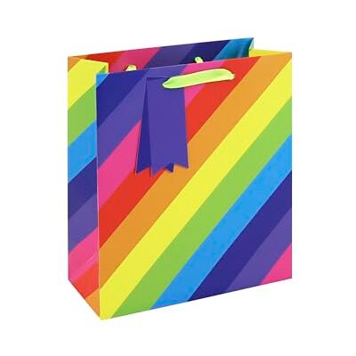 Eurowrap Rayures arc-en-ciel sac moyen 21,5x10,2x25,3 cm Paq de 6 Eurowrap Rayures arc-en-ciel sac moyen 21,5x10,2x25,3 cm Paq de 6