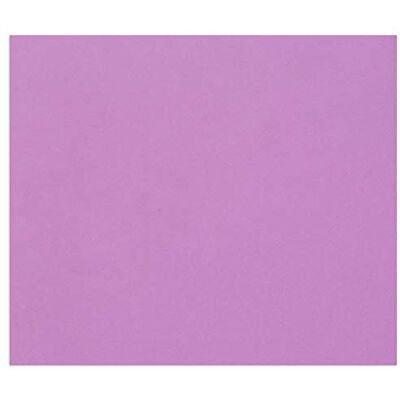 Clairefontaine Paquete Papel Tulipe 100 Hojas Papel de Dibujo con Grano Lila A4 21x29,7 cm 160g Ideal para el Dibujo y las Actividades Creativas Clairefontaine Paquete Papel Tulipe 100 Hojas Papel de Dibujo con Grano Lila A4 21x29,7 cm 160g Ideal para el Dibujo y las Actividades Creativas
