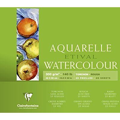 Clairefontaine Un bloc encolado 4 lados de papel de dibujo Etival Grano Granulado grueso 25 hojas 42x56 cm 300g, Blanco Clairefontaine Un bloc encolado 4 lados de papel de dibujo Etival Grano Granulado grueso 25 hojas 42x56 cm 300g, Blanco