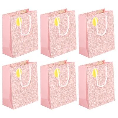 Eurowrap Clairefontaine Juego de 6 bolsas de regalo Excellia, tamaño mediano, 21,5 x 10,2 x 25,3 cm, 210 g, diseño de hadas, embalaje de regalo, ideal para: libro, juego, pequeños regalos Eurowrap Clairefontaine Juego de 6 bolsas de regalo Excellia, tamaño mediano, 21,5 x 10,2 x 25,3 cm, 210 g, diseño de hadas, embalaje de regalo, ideal para: libro, juego, pequeños regalos