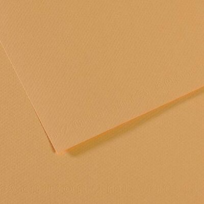Canson Mi-Teintes Papel de Color de Pulpa Teñida, 160 g/m2, Beige (Oyster 340), 21x29,17, Pack de 25 Canson Mi-Teintes Papel de Color de Pulpa Teñida, 160 g/m2, Beige (Oyster 340), 21x29,17, Pack de 25