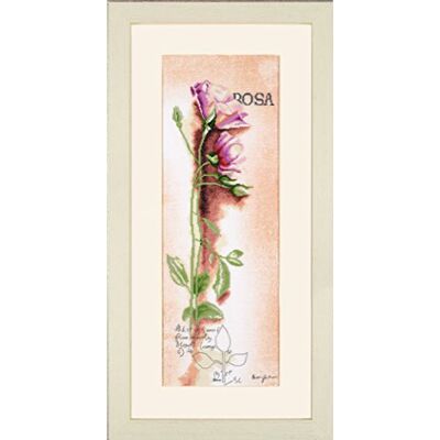 Lanarte Kits De Punto De Cruz Contado Completo Arte De Pared DIY ROSA BOTÁNICA Set Manualidades Adultos Set Decoracion Salon Creativo Regalo ca. 20 x 60 cm Cross Stitch Embroidery Lanarte Kits De Punto De Cruz Contado Completo Arte De Pared DIY ROSA BOTÁNICA Set Manualidades Adultos Set Decoracion Salon Creativo Regalo ca. 20 x 60 cm Cross Stitch Embroidery