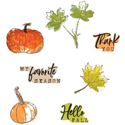 Sizzix Sellos transparentes A5 con Framelits Die Pencil Line Harvest by 49 and Market Sizzix Sellos transparentes A5 con Framelits Die Pencil Line Harvest by 49 and Market