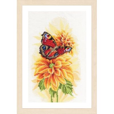 Lanarte Kits De Punto De Cruz Contado Completo Arte De Pared DIY MARIPOSA PAVO REAL FLOTANTE Set Manualidades Adultos Set Decoracion Salon Creativo Regalo ca. 22 x 33 cm Cross Stitch Embroidery Lanarte Kits De Punto De Cruz Contado Completo Arte De Pared DIY MARIPOSA PAVO REAL FLOTANTE Set Manualidades Adultos Set Decoracion Salon Creativo Regalo ca. 22 x 33 cm Cross Stitch Embroidery