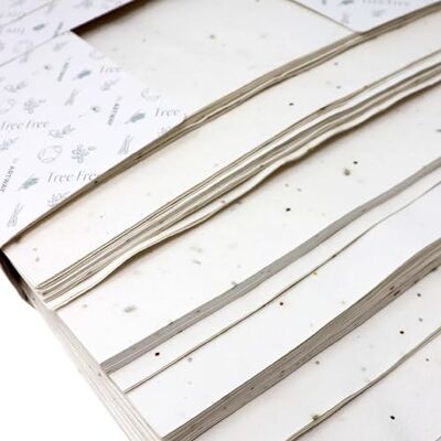 ARTWAY Tree Free Paquete de papel con semillas de flores silvestres 100 x A4 Hojas -180gsm Semillas de flores silvestres Papel de Algodón para Arte y Manualidades ARTWAY Tree Free Paquete de papel con semillas de flores silvestres 100 x A4 Hojas -180gsm Semillas de flores silvestres Papel de Algodón para Arte y Manualidades