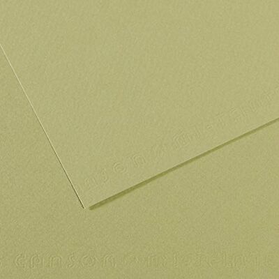 Canson Mi-Teintes Papel de Color de Pulpa Teñida, 160 g/m2, Verde (Light Green 480), 21x29,26, Pack de 25 Canson Mi-Teintes Papel de Color de Pulpa Teñida, 160 g/m2, Verde (Light Green 480), 21x29,26, Pack de 25