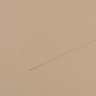 Canson Mi-Teintes Papel de Color de Pulpa Teñida, 160 g/m2, Gris (Pearl 343), 21x29,18, Pack de 25 Canson Mi-Teintes Papel de Color de Pulpa Teñida, 160 g/m2, Gris (Pearl 343), 21x29,18, Pack de 25