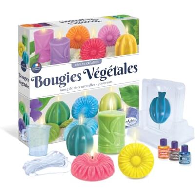 Sentosphère Sentosfera Velas Vegetales Kit creativo DIY Para hacer velas 100% naturales Para niños a partir de 8 años Fabricado en Francia Sentosphère Sentosfera Velas Vegetales Kit creativo DIY Para hacer velas 100% naturales Para niños a partir de 8 años Fabricado en Francia