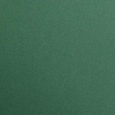 Clairefontaine Paquete Papel Maya 25 Hojas Papel de Dibujo Liso Verde Antiguo 50x70 cm 270g Ideal para el Dibujo y las Actividades Creativas Clairefontaine Paquete Papel Maya 25 Hojas Papel de Dibujo Liso Verde Antiguo 50x70 cm 270g Ideal para el Dibujo y las Actividades Creativas