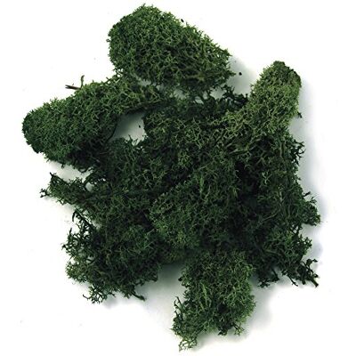 Musgo insular Rayher - Verde oscuro - 1kg - Musgo decorativo Musgo insular Rayher - Verde oscuro - 1kg - Musgo decorativo