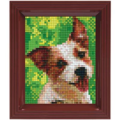 Pracht Creatives Hobby - Dog Mosaik-Paquete de Regalo para Perro con Imagen de píxeles y Marco para Crear niños y Adultos, Multicolor, ca. 10 x 12 cm () Pracht Creatives Hobby - Dog Mosaik-Paquete de Regalo para Perro con Imagen de píxeles y Marco para Crear niños y Adultos, Multicolor, ca. 10 x 12 cm ()