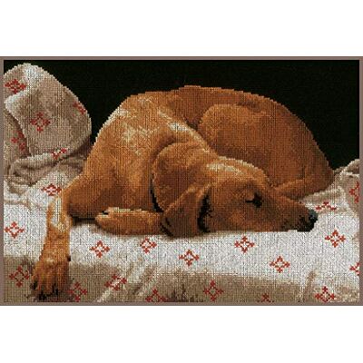 Lanarte Kits De Punto De Cruz Contado Completo Arte De Pared DIY PERRO DURMIENTE Set Manualidades Adultos Set Decoracion Salon Creativo Regalo ca. 35 x 26 cm Cross Stitch Embroidery Lanarte Kits De Punto De Cruz Contado Completo Arte De Pared DIY PERRO DURMIENTE Set Manualidades Adultos Set Decoracion Salon Creativo Regalo ca. 35 x 26 cm Cross Stitch Embroidery