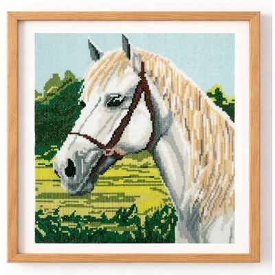 Trimits Kit grande de punto de cruz contado: diseño de caballo blanco sobre tela Aida de 11 puntos (30 x 30 cm) con hilo, aguja, diagrama codificado por colores e instrucciones Trimits Kit grande de punto de cruz contado: diseño de caballo blanco sobre tela Aida de 11 puntos (30 x 30 cm) con hilo, aguja, diagrama codificado por colores e instrucciones