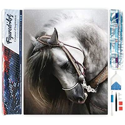 ART Diamond Painting Kit completo Cuadro 40x50cm de Pintura de Diamante Lienzo entero enrollado con diamantes de imitación cuadrados Caballo elegante gris 5D DIY Manualidades Adultos ART Diamond Painting Kit completo Cuadro 40x50cm de Pintura de Diamante Lienzo entero enrollado con diamantes de imitación cuadrados Caballo elegante gris 5D DIY Manualidades Adultos