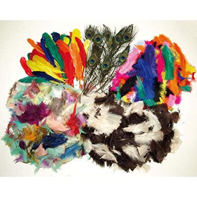 Baker Ross Plumas Paquete de 600, Material de Manualidades para Niños () Baker Ross Plumas Paquete de 600, Material de Manualidades para Niños ()
