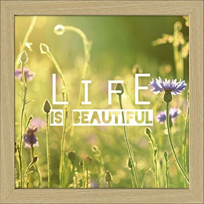 Pro-Art – Cuadro imágenes palé Scandic – de Living Life is Beautiful 35 x 35 cm Pro-Art – Cuadro imágenes palé Scandic – de Living Life is Beautiful 35 x 35 cm