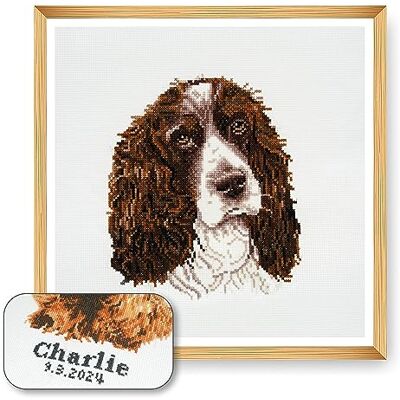 Trimits Kit de punto de cruz para perros – Bordado personalizado para adultos principiantes, decoración de pared amantes de los animales,dueños de perros,36x36cm,marco no incluido, Springer Spaniel Trimits Kit de punto de cruz para perros – Bordado personalizado para adultos principiantes, decoración de pared amantes de los animales,dueños de perros,36x36cm,marco no incluido, Springer Spaniel