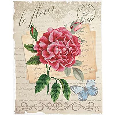 Pracht Creatives Hobby Ladybird Kit de punto de cruz (35,7 x 45,7 cm), diseño de rosas Pracht Creatives Hobby Ladybird Kit de punto de cruz (35,7 x 45,7 cm), diseño de rosas