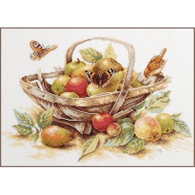 Lanarte Kits De Punto De Cruz Contado Completo Arte De Pared DIY Frutas DE Verano Set Manualidades Adultos Set Decoracion Salon Creativo Regalo ca. 39 x 29 cm Cross Stitch Embroidery Lanarte Kits De Punto De Cruz Contado Completo Arte De Pared DIY Frutas DE Verano Set Manualidades Adultos Set Decoracion Salon Creativo Regalo ca. 39 x 29 cm Cross Stitch Embroidery