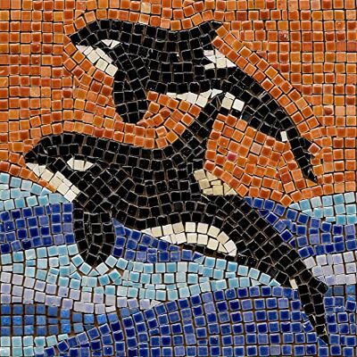 ALEA Mosaic kit mosaico DIY manualidades, 20x20cm Orca 2 ALEA Mosaic kit mosaico DIY manualidades, 20x20cm Orca 2