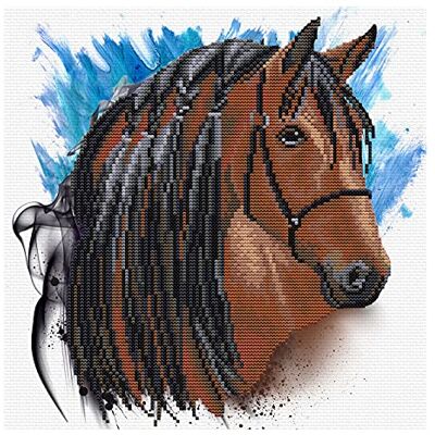 Pracht Creatives Hobby Ladybird Stallion Groom Kit de punto de cruz (30,5 x 30,5 cm), diseño de flores Pracht Creatives Hobby Ladybird Stallion Groom Kit de punto de cruz (30,5 x 30,5 cm), diseño de flores