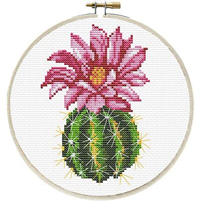 Pracht Creatives Hobby Ladybird Kit de punto de cruz con marco de bordado (15,2 cm de diámetro), diseño de cactus rosa Pracht Creatives Hobby Ladybird Kit de punto de cruz con marco de bordado (15,2 cm de diámetro), diseño de cactus rosa