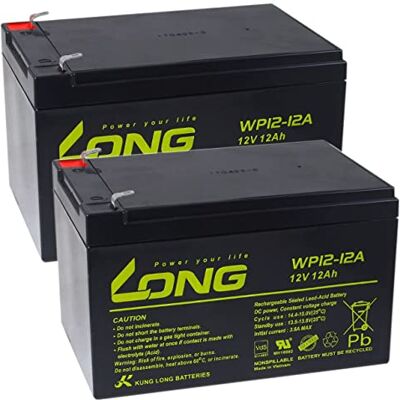 Powery KungLong Batería de Reemplazo para APC Smart-UPS 1000 Powery KungLong Batería de Reemplazo para APC Smart-UPS 1000