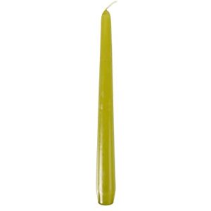 PAPSTAR Pappstar Velas candelabro (2,2 x 25 cm, 50 unidades), color verde oliva PAPSTAR Pappstar Velas candelabro (2,2 x 25 cm, 50 unidades), color verde oliva