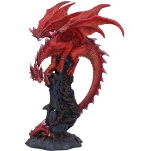 Nemesis Now Figura de Raíces Dracónicas de 28,5 cm Resina, Dragón Rojo Sobre Piedra, Adorno Coleccionable Fundido en la Mejor Resina, Pintado Nemesis Now Figura de Raíces Dracónicas de 28,5 cm Resina, Dragón Rojo Sobre Piedra, Adorno Coleccionable Fundido en la Mejor Resina, Pintado