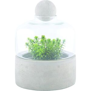Esschert Design botella terrario macetero con Base de hormigón, pequeño Esschert Design botella terrario macetero con Base de hormigón, pequeño