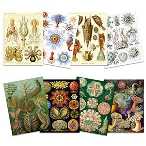 Artery8 PP00034 - 8 Impresiones de Arte - Naturaleza & Vintage Artery8 PP00034 - 8 Impresiones de Arte - Naturaleza & Vintage