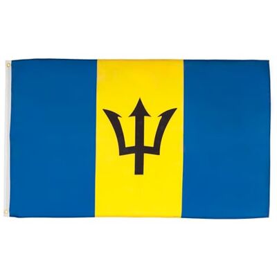 AZ FLAG Bandera Barbados 150x90 cm Barbadense Poliéster 100D 2 Ojales AZ FLAG Bandera Barbados 150x90 cm Barbadense Poliéster 100D 2 Ojales