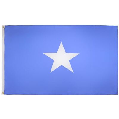 AZ FLAG Bandera Somalia 150x90 cm Estandarte Somalí Poliéster 100D 2 Ojales AZ FLAG Bandera Somalia 150x90 cm Estandarte Somalí Poliéster 100D 2 Ojales