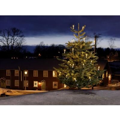 Konstsmide 1015 – 020 – Guirnalda LED con luces para árbol/blancas para exterior (IP44)/VDE/transformador exterior 24 V/ONE String/45 diodos de blanco cálido/Cable Verde Konstsmide 1015 – 020 – Guirnalda LED con luces para árbol/blancas para exterior (IP44)/VDE/transformador exterior 24 V/ONE String/45 diodos de blanco cálido/Cable Verde