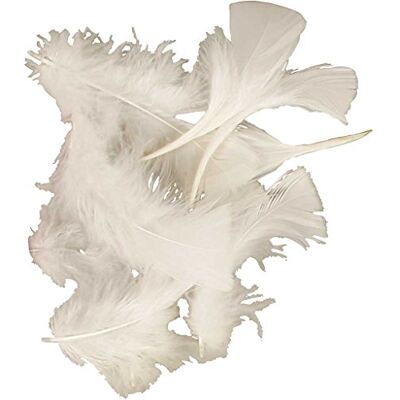 Creativ Create Craft Plumas Turquía 50G blanco Creativ Create Craft Plumas Turquía 50G blanco