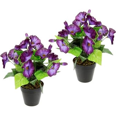 Planta Artificial Petunias I.GE.A. - Set de 2, 22x27x22 cm, Violeta Planta Artificial Petunias I.GE.A. - Set de 2, 22x27x22 cm, Violeta