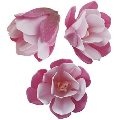 dekora -6 Magnolias Comestible Decoración de Tartas de Cumpleaños Caseras Fácil para Obtener un Pastel con Flores-de Color Rosa de 6,5-7 cm, () dekora -6 Magnolias Comestible Decoración de Tartas de Cumpleaños Caseras Fácil para Obtener un Pastel con Flores-de Color Rosa de 6,5-7 cm, ()