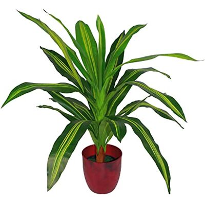 Leaf Design UK 90cm Dracaena Árbol Artificial - Decoración Tropical Leaf Design UK 90cm Dracaena Árbol Artificial - Decoración Tropical