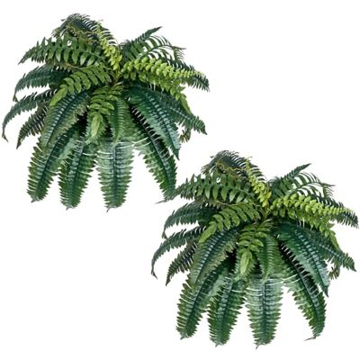 VEVOR Helechos Artificiales, Diámetro Natural de Extensión: 89-99 cm, Colgantes, Decoración de Pared con 35 Ramas, Helecho Artificial para Hogar y Oficina, Maceta No Incluida, 600 x 250 x 250 mm VEVOR Helechos Artificiales, Diámetro Natural de Extensión: 89-99 cm, Colgantes, Decoración de Pared con 35 Ramas, Helecho Artificial para Hogar y Oficina, Maceta No Incluida, 600 x 250 x 250 mm