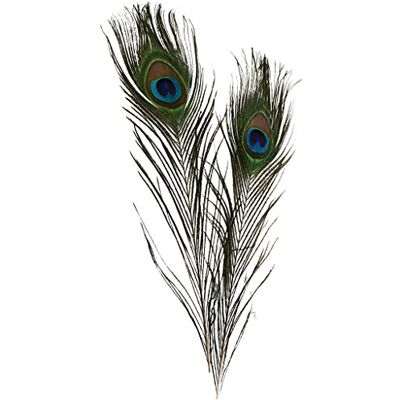 Creativ Plumas de pavo real, L: 25-30 cm, 10 unidades Creativ Plumas de pavo real, L: 25-30 cm, 10 unidades