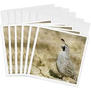 3dRose California Quail with Textures Tarjetas de felicitación, 15,24 x 15,24 cm, juego de 6 () 3dRose California Quail with Textures Tarjetas de felicitación, 15,24 x 15,24 cm, juego de 6 ()