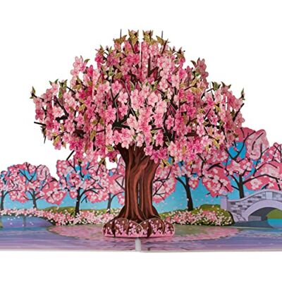 Cardology Tarjeta emergente tarjetas de cumpleaños para ella, tarjetas del día de la madre, tarjetas del día de San Valentín, tarjetas de recuperación pronto Hecho a mano Flor de cerezo rosa Cardology Tarjeta emergente tarjetas de cumpleaños para ella, tarjetas del día de la madre, tarjetas del día de San Valentín, tarjetas de recuperación pronto Hecho a mano Flor de cerezo rosa