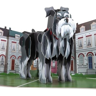 Cardology – Tarjeta de cumpleaños con schnauzer miniatura – tarjeta desplegable 3D Cardology – Tarjeta de cumpleaños con schnauzer miniatura – tarjeta desplegable 3D
