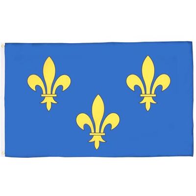 AZ FLAG Bandera Flor de lis Azul y oro 90x60 cm Poliéster 100D 2 Ojales AZ FLAG Bandera Flor de lis Azul y oro 90x60 cm Poliéster 100D 2 Ojales