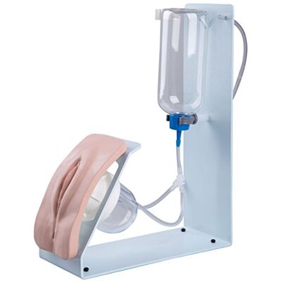 3B Scientific Medical Simulators Simulador de sondaje BASIC, femenino 3B Scientific Medical Simulators Simulador de sondaje BASIC, femenino