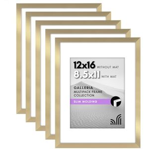 Americanflat Galleria Juego de 5 marcos para fotos de 30,5 x 40,6 cm con plexiglás pulido, marco de 21,6 x 27,9 cm con paspartú o de 30,5 x 40,6 cm sin, para exhibición en pared, dorado Americanflat Galleria Juego de 5 marcos para fotos de 30,5 x 40,6 cm con plexiglás pulido, marco de 21,6 x 27,9 cm con paspartú o de 30,5 x 40,6 cm sin, para exhibición en pared, dorado
