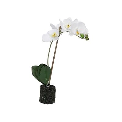THUN Orquídeas Blancas S THUN Orquídeas Blancas S